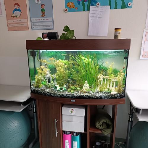 Aquarium der 4a-Klasse